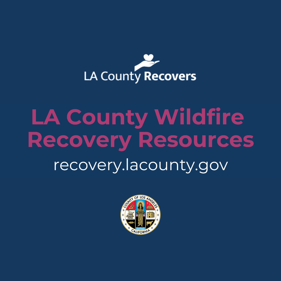 feature image of Wildfire Recovery Information
